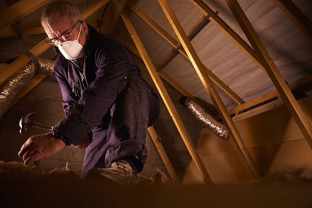 Best Specialized Insulation Services in Connelly Springs, NC